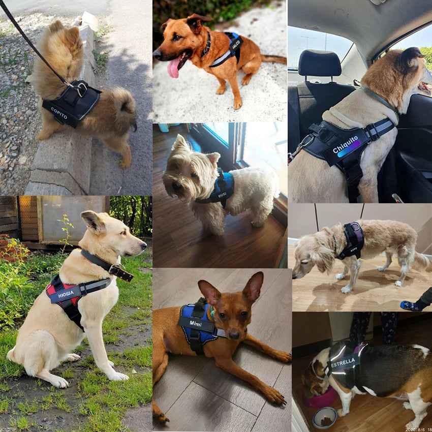 Bolux No Pull Reflective Adjustable Dog Harness Vest With ID Patch For Outdoor Walking